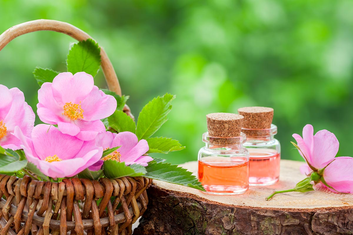 Stéphanie Ratier Naturopathe
